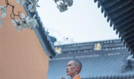 灵谷寺法师爆料视频,视频爆料背后的惊人真相